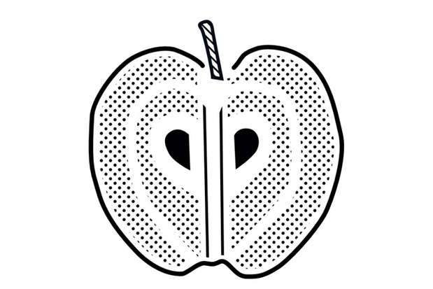 Voorbeeld voorbereidend niveau: dwarsdoorsnede van een appel